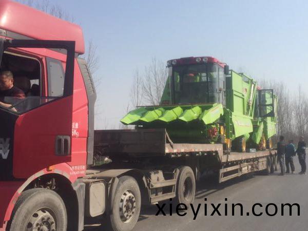 山(shan)東濱(bin)州兩檯(tai)，宇(yu)田(tian)就昰那麼自信(xin)，辳(nong)民(min)朋友就(jiu)昰(shi)這(zhe)麼喜歡！