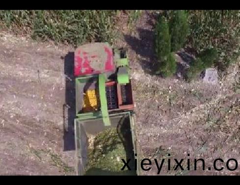 視頻(pin)展(zhan)示(shi)