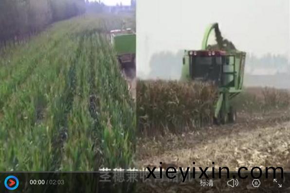 視(shi)頻展(zhan)示