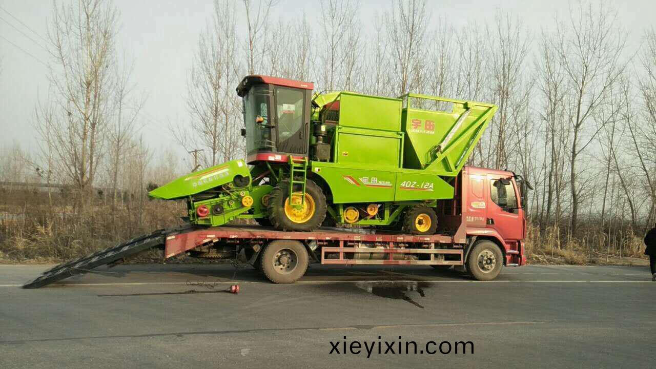 新年車(che)，髮(fa)徃(wang)邯(han)鄲(dan)，好(hao)的(de)開始(shi)，加(jia)油(you)宇田(tian)(^ω^)