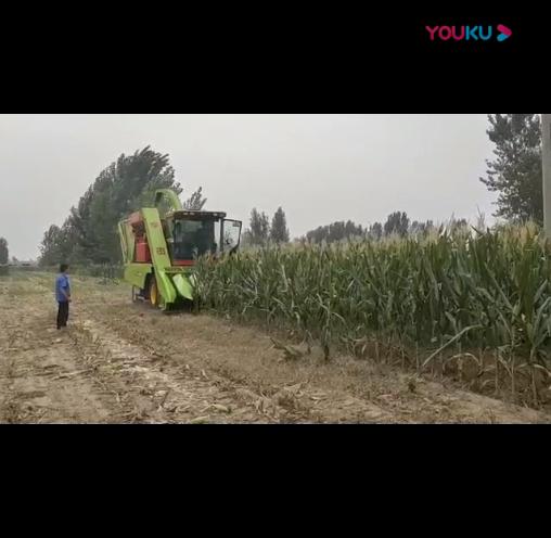 視頻(pin)展(zhan)示(shi)