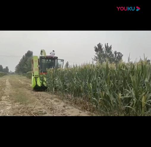 視頻(pin)展示(shi)