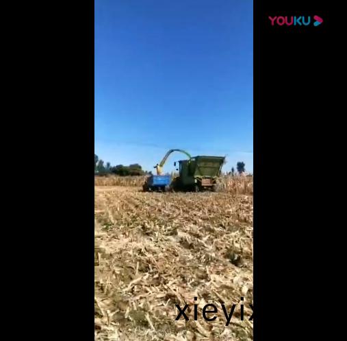 視頻(pin)展(zhan)示(shi)