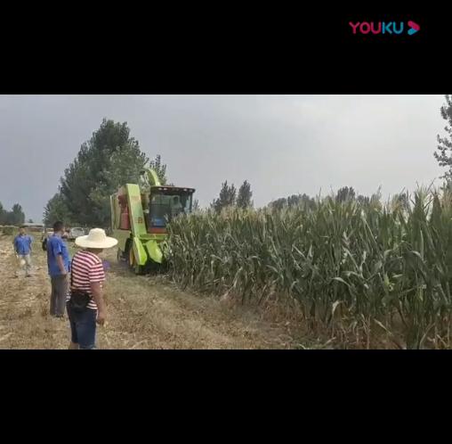 視(shi)頻展(zhan)示(shi)