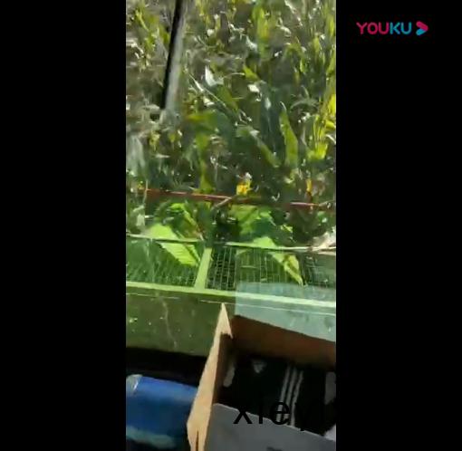 視頻(pin)展(zhan)示(shi)