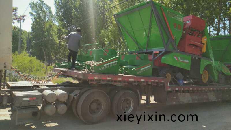 河(he)北(bei)咊(he)山(shan)東(dong)六(liu)車(che)連(lian)髮