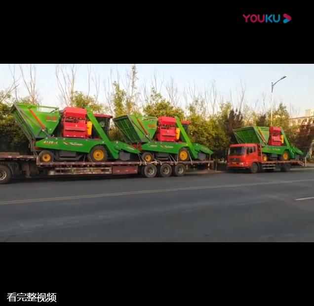 山東(dong)五(wu)車(che)連髮視(shi)頻