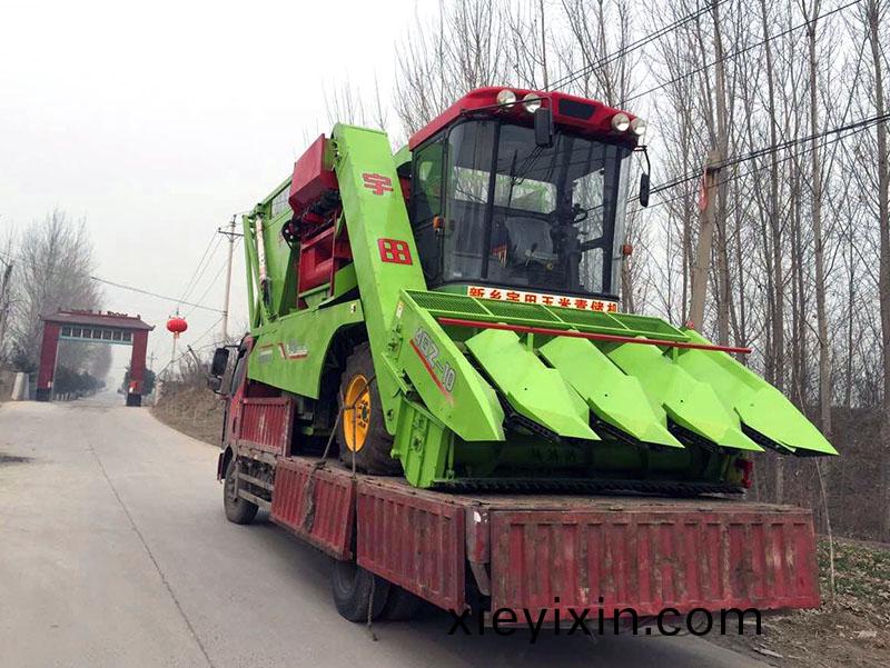 百度圖(tu)片20170216174933