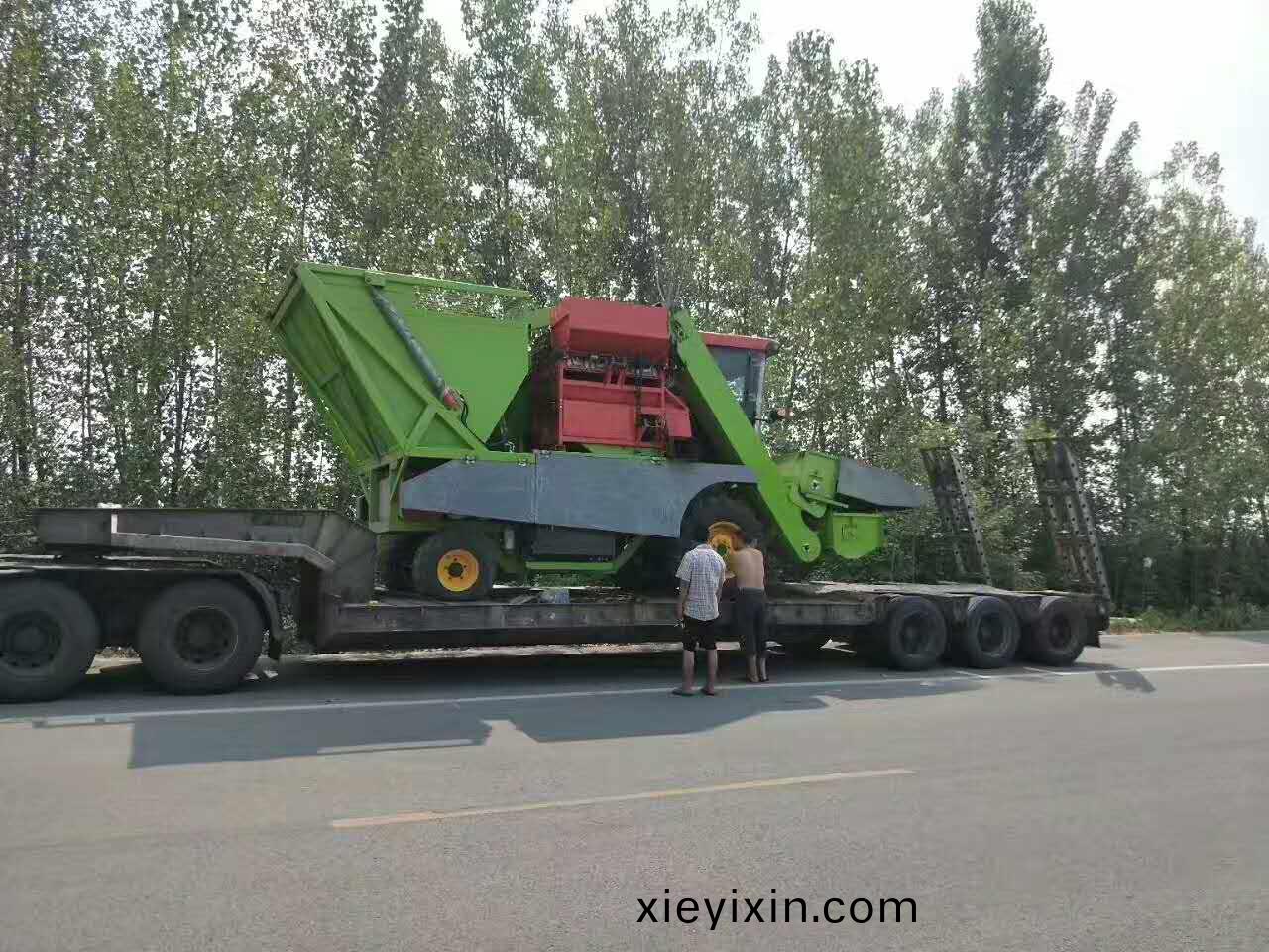 穗莖兼(jian)收玉(yu)米(mi)收(shou)穫機(ji)