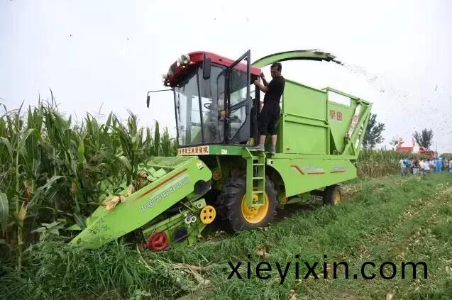 百度截圖(tu)20170809191224