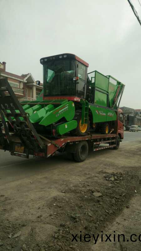 微(wei)信(xin)圖(tu)片_20200326100029