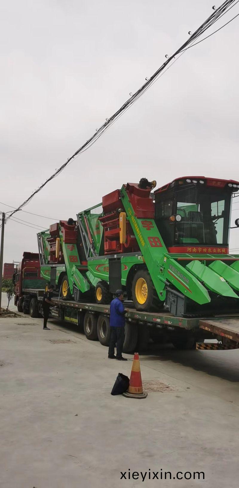 百度圖(tu)片(pian)_20220531163837