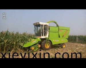 視(shi)頻展示(shi)