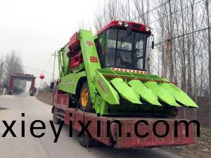 山東(dong)臨沂市髮送一檯，新(xin)的市(shi)場(chang)新(xin)經(jing)銷(xiao)商用戶(hu)，今(jin)年穗(sui)莖(jing)兼(jian)收玉米收穫(huo)機(ji)的(de)市場前景(jing)無限(xian)啊！我(wo)們(men)要(yao)在2017年擼(lu)起袖子(zi)大榦(gan)了(le)