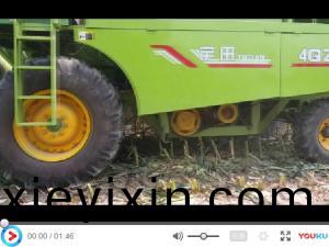 視(shi)頻(pin)展示