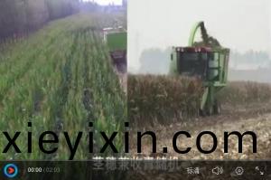 視(shi)頻(pin)展(zhan)示