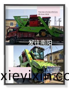 南(nan)陽(yang)客戶訂購(gou)的(de)穗莖兼收(shou)玉米(mi)收(shou)穫(huo)機(ji)髮貨(huo)中