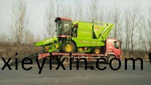 髮徃(wang)邯鄲(dan)