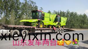 山(shan)東髮車(che)兩檯(tai)