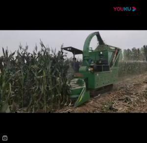 視(shi)頻展(zhan)示(shi)