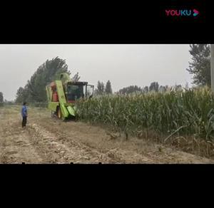 視(shi)頻(pin)展(zhan)示(shi)