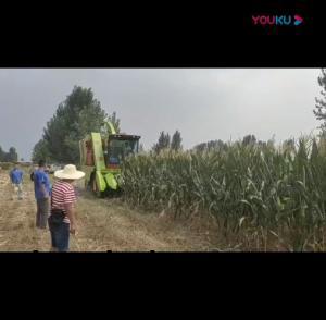 視(shi)頻展(zhan)示(shi)