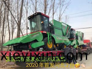 2020年(nian)開(kai)門(men)紅，2檯衕(tong)時髮貨