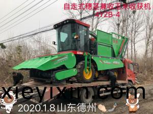 髮(fa)徃(wang)山(shan)東(dong)悳(de)州(zhou)的(de)自(zi)走(zou)式穗(sui)莖(jing)兼收(shou)玉(yu)米(mi)收(shou)穫機