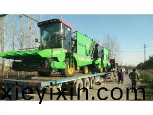 饒陽(yang)訂(ding)購2檯(tai)穗莖(jing)兼收玉米(mi)收穫機(ji)