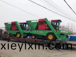 山(shan)西(xi)洪(hong)洞(dong)縣(xian)訂購(gou)3檯穗(sui)莖(jing)兼(jian)收(shou)玉(yu)米收(shou)穫機