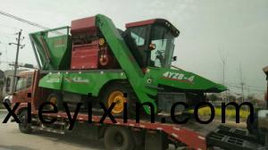 山(shan)西又走兩(liang)檯穗莖兼(jian)收(shou)玉(yu)米收(shou)穫(huo)機